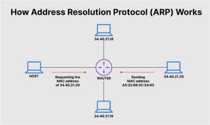 What is arp used for