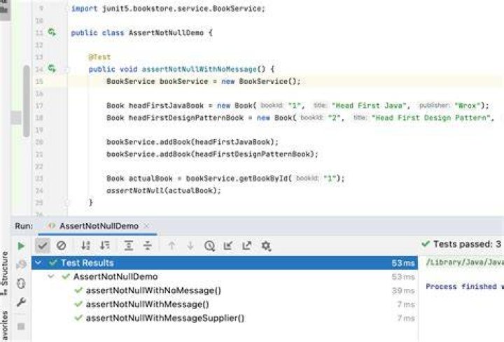 What is assertNotNull