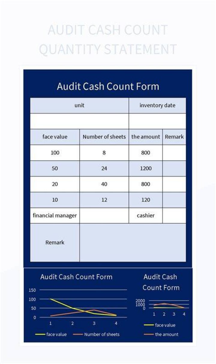 What is audit of cash