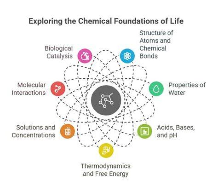 What is basis of life