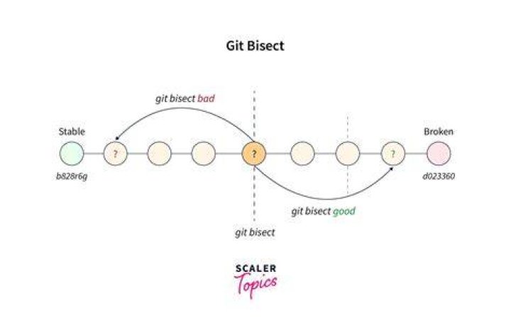 What is bisect in git