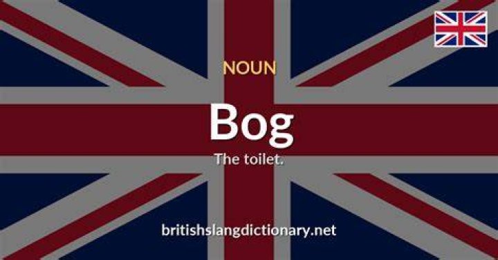 What is bog slang for