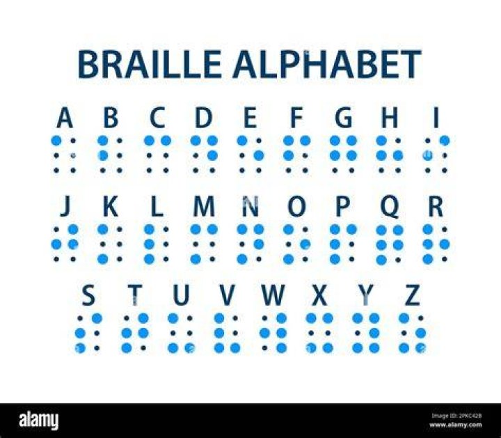 What is braille word