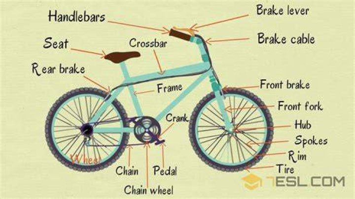What is called cycle