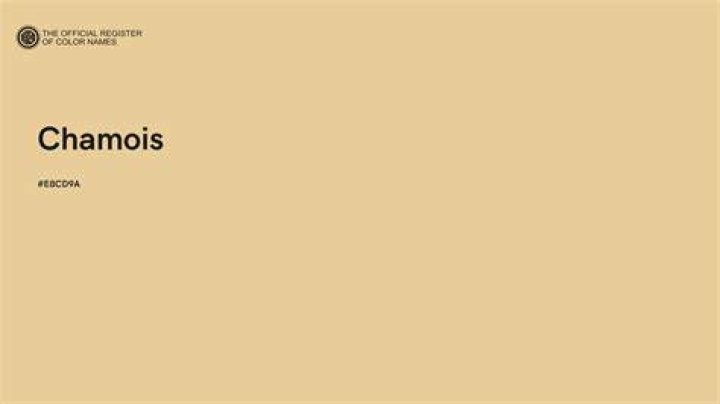 What is chamois color