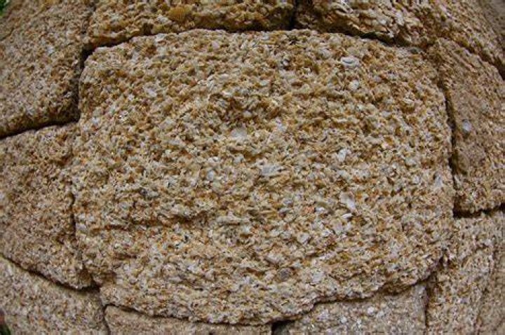 What is coquina stone