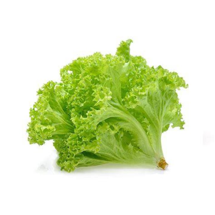 What is coral lettuce