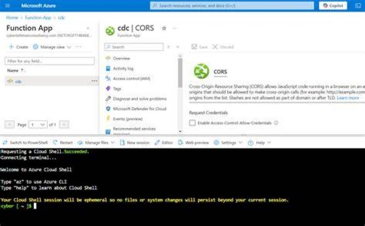 What is Cors in Azure