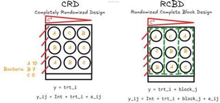 What is CRD and Rcbd