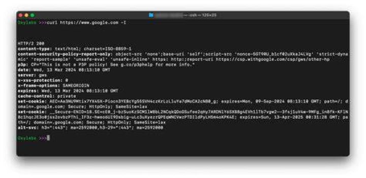 What is curl response