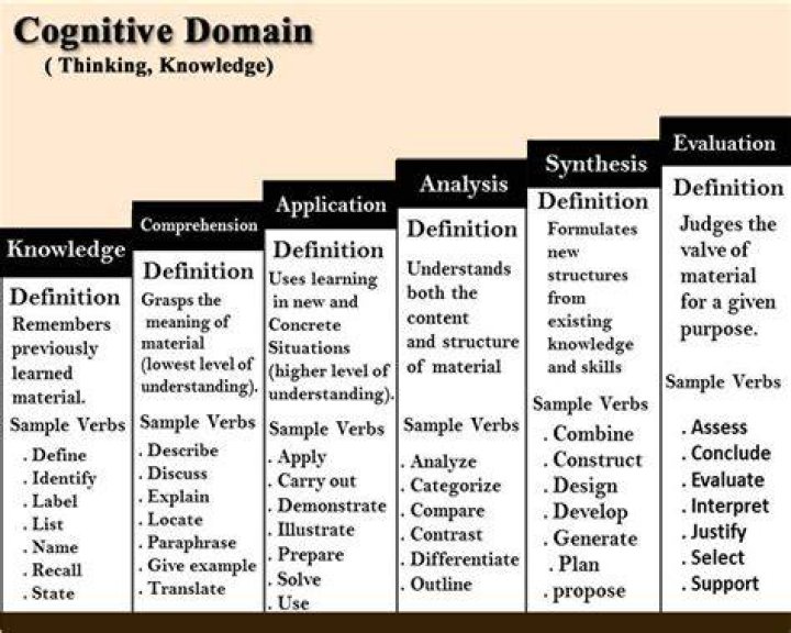 What is domain vocab