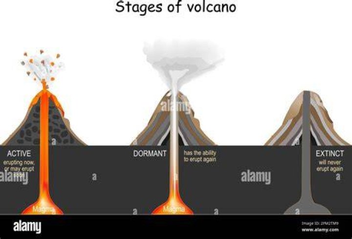 What is dormant stage