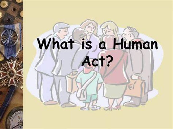 What is end human act