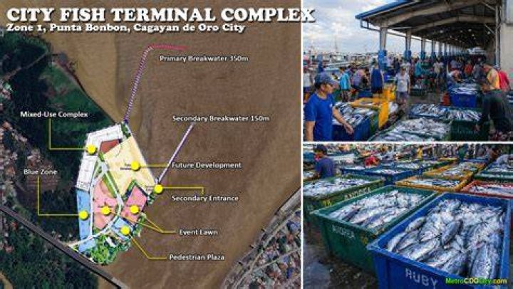 What is fish terminal