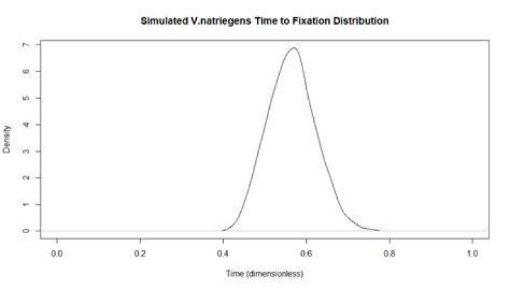 What is fixation time
