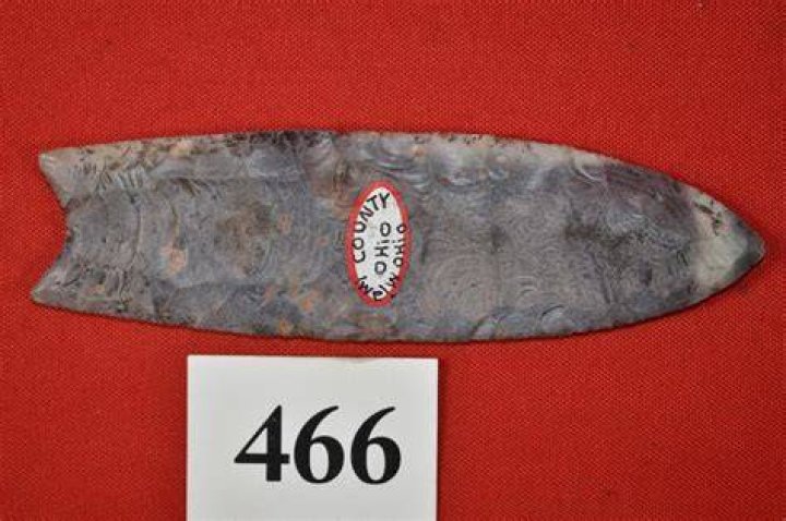 What is fluted Clovis