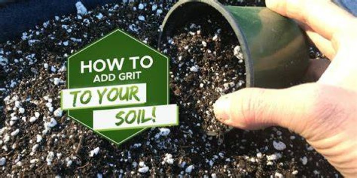 What is grit for soil
