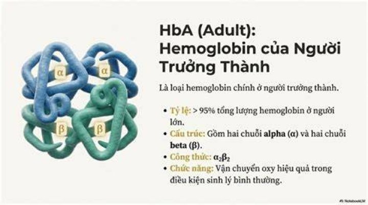 What is hemoglobin FA