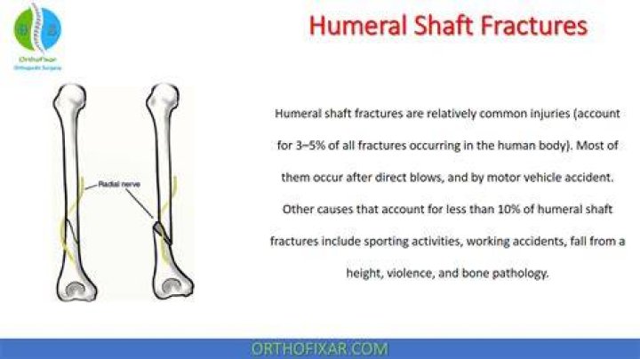 What is humeral shaft