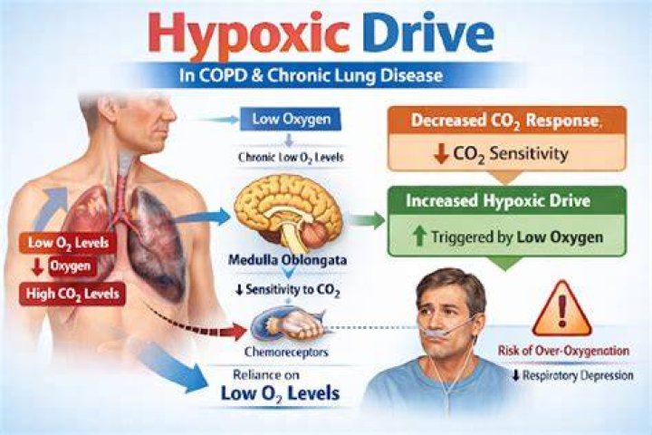 What is hypoxic drive