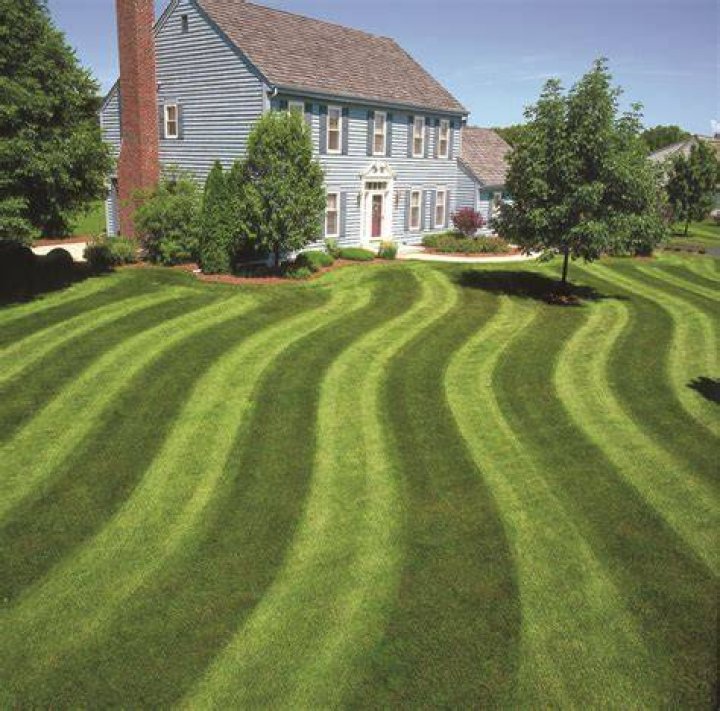 What is lawn striping
