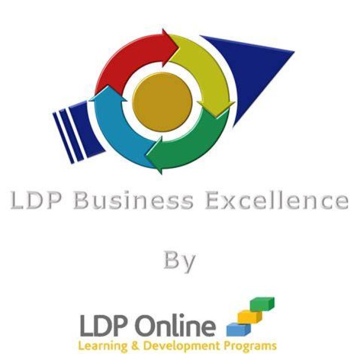 What is LDP Business