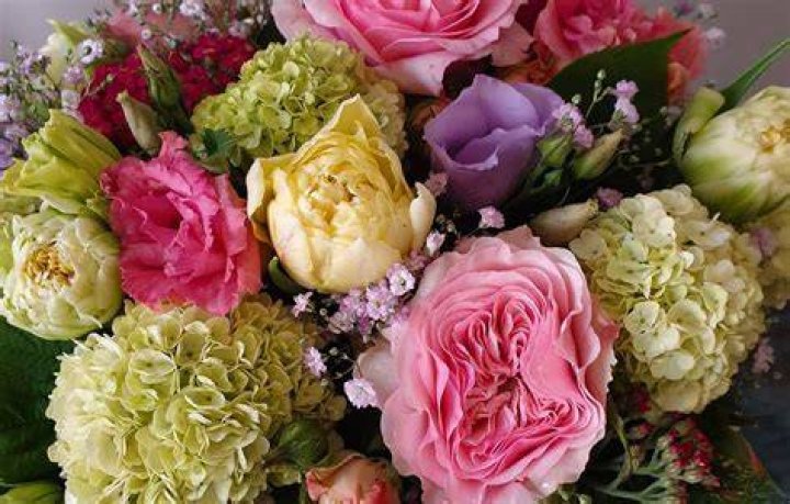 What is little flower