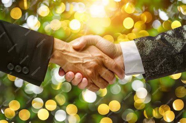 What is loyalty theme