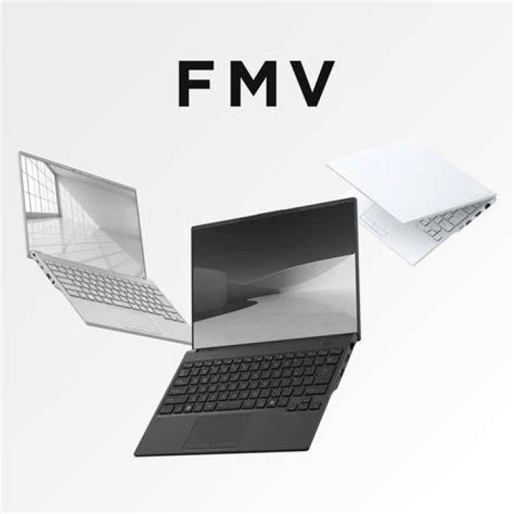 What is meant by FMV
