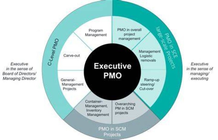 What is meant by PMO