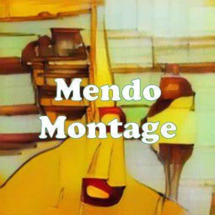 What is Mendo montage