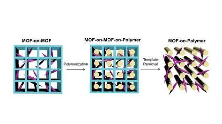 What is MOF full form