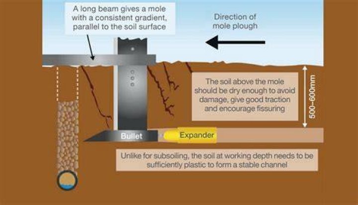 What is Mole drainage