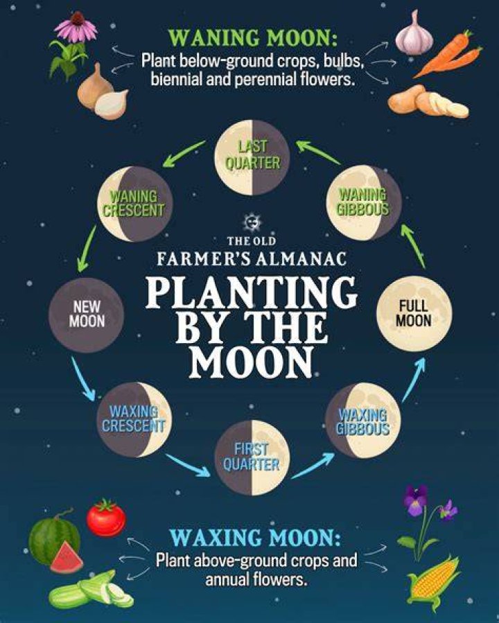 What is Moon planting