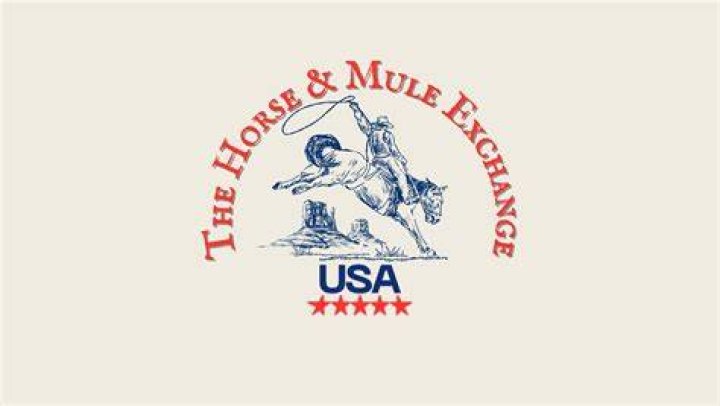 What is mule exchange
