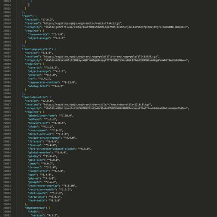 What is NPM lock file