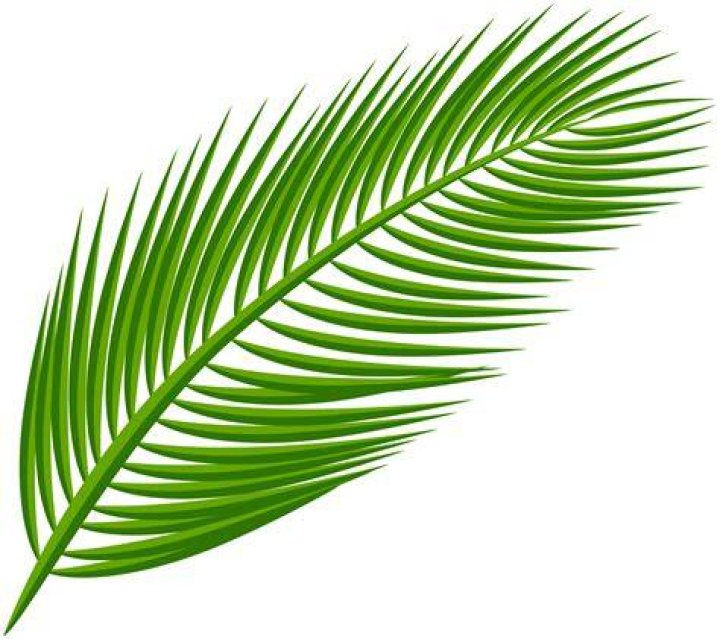 What is palm leaf art