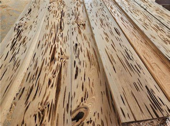 What is pecky cypress
