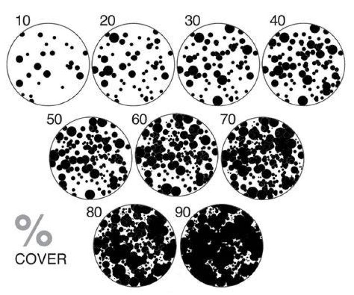 What is Percent cover