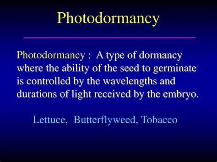 What is Photodormancy