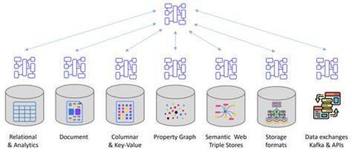 What is polyglot data