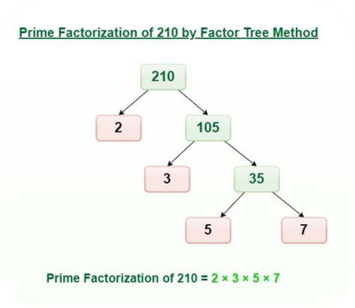 What is prime factor