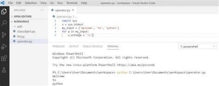 What is Python stdout