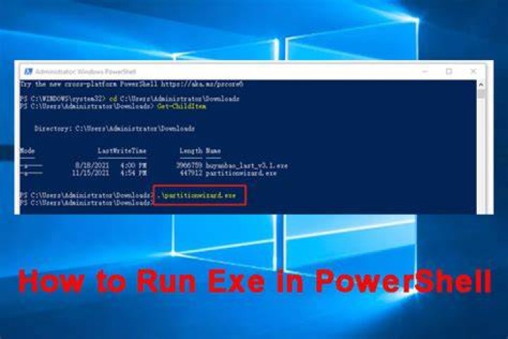 What is run Setup EXE