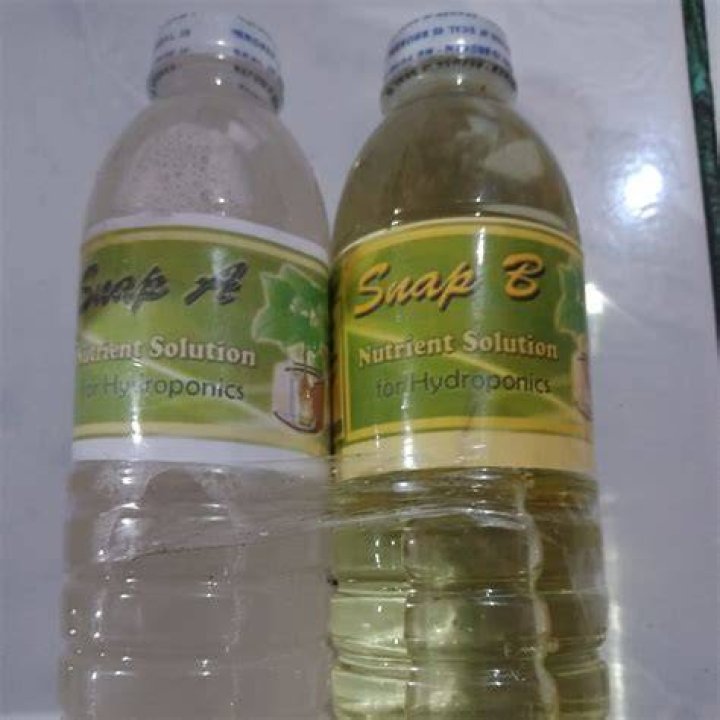 What is SNAP solution