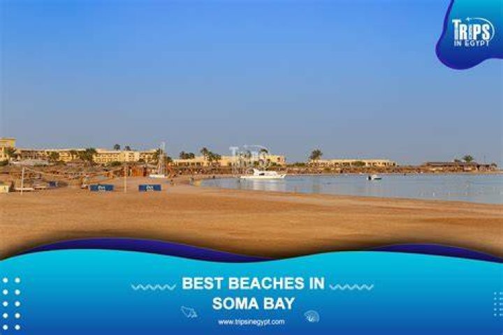 What is Soma Bay Area