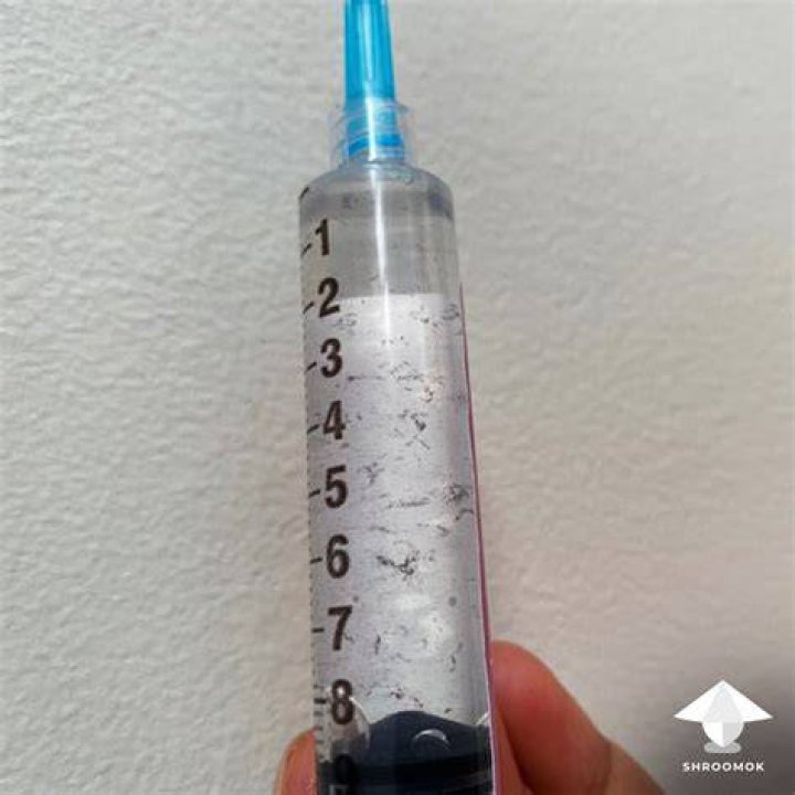What is Spore syringe