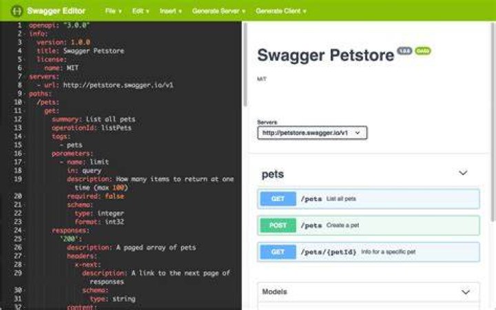 What is swagger file