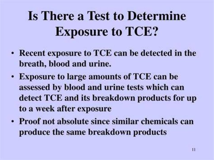 What is TCE found in