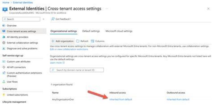 What is tenant option